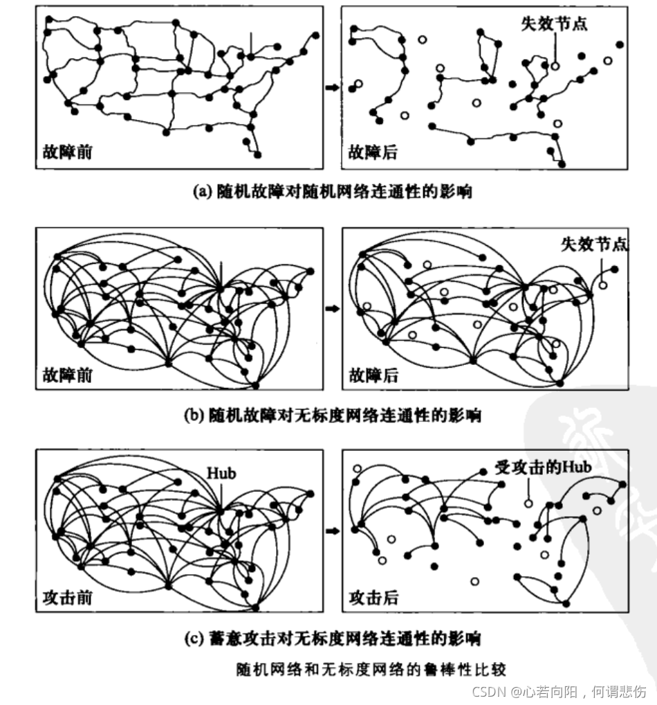 无标度网络模型