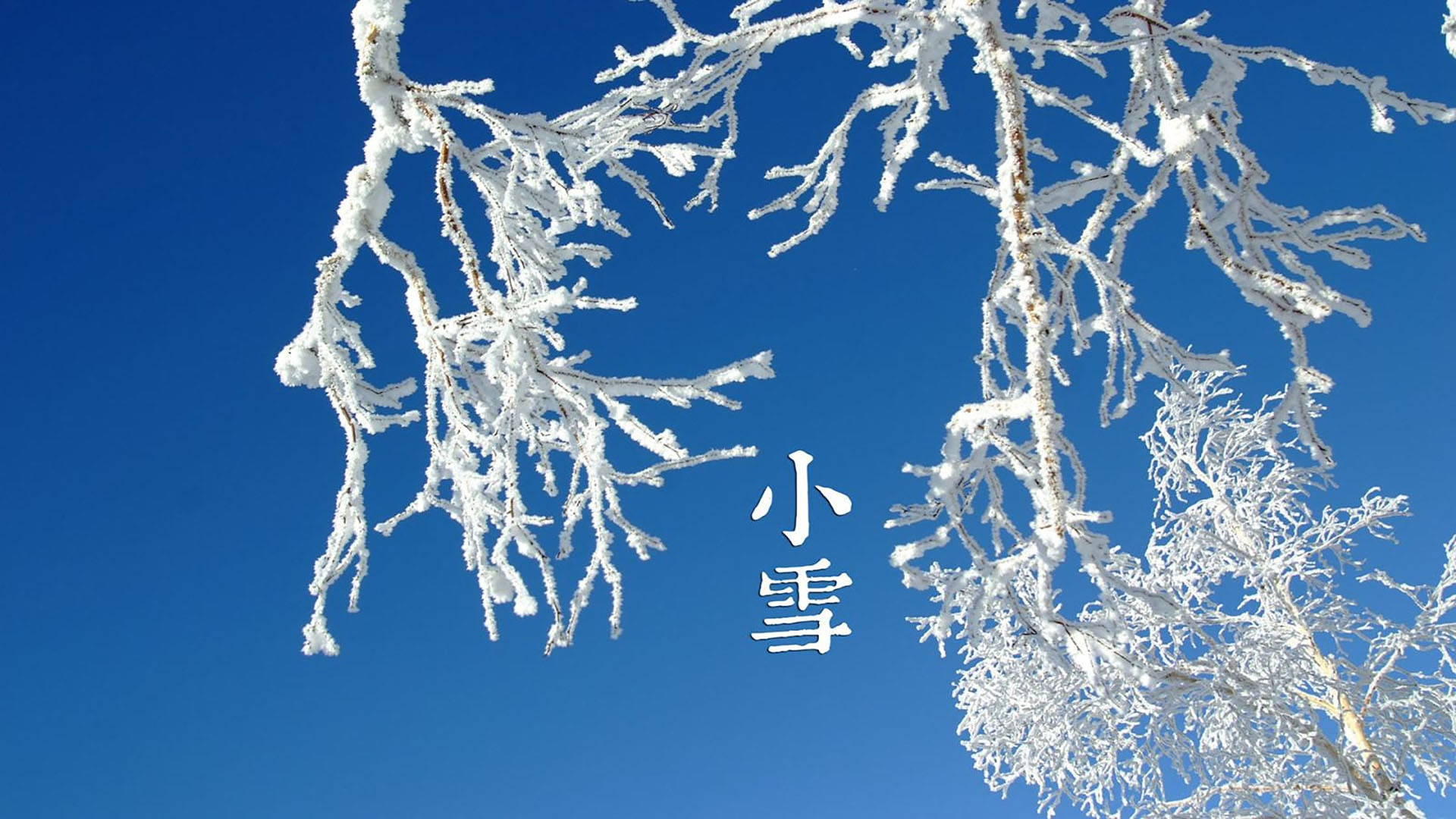 二十四节气之小雪
