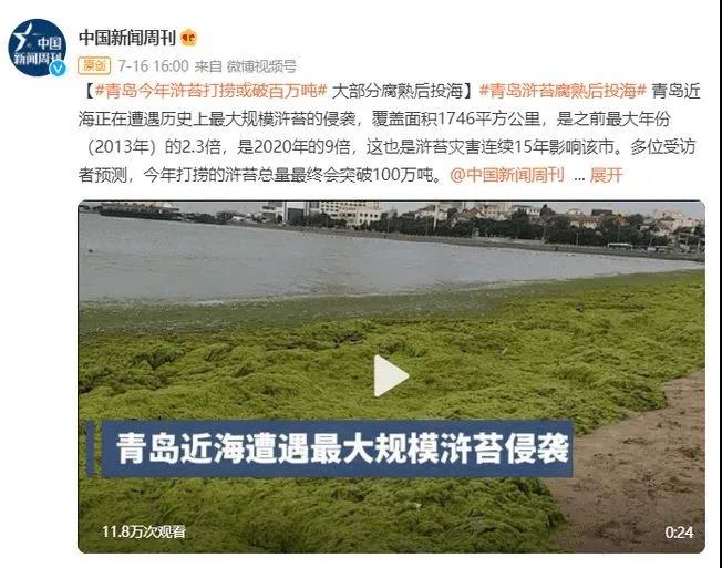 基于PIE-Engine 监测黄海海域浒苔绿潮发展过程_2021年打捞浒苔-CSDN博客