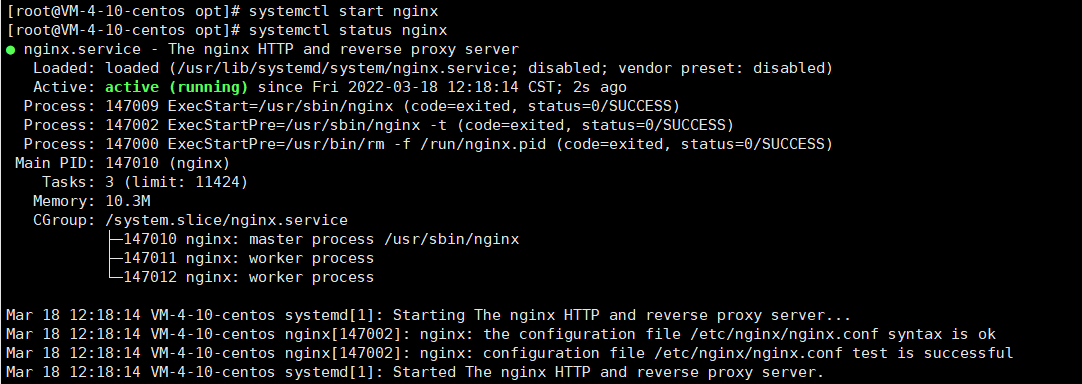 Сервер 1с centos. Centos 8. виртуальные блоки nginx centos 8. centos terminal.