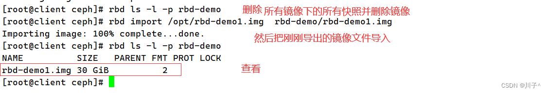 Ceph 块存储系统 RBD 接口