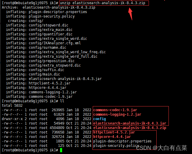 解压elasticsearch-analysis-ik-8.4.3.zip