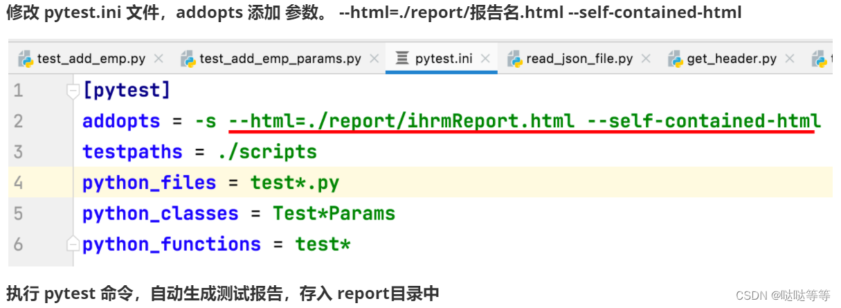 接口测试复习Requests PyMysql Dubbo