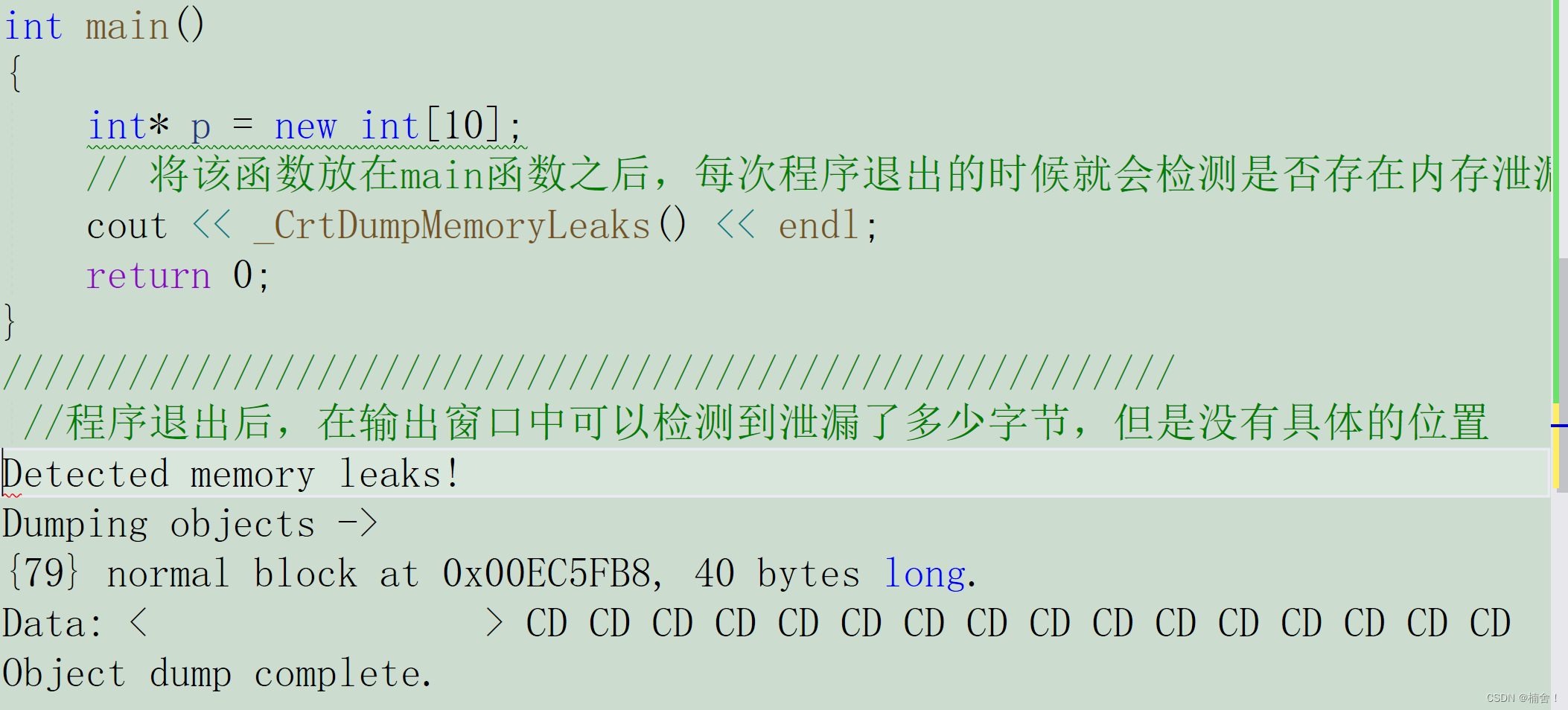 C  C++ 的内存管理（C++）