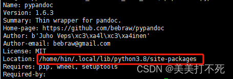 python调用pypandoc库报错问题_install pypandoc wheels with included pandoc.-CSDN博客