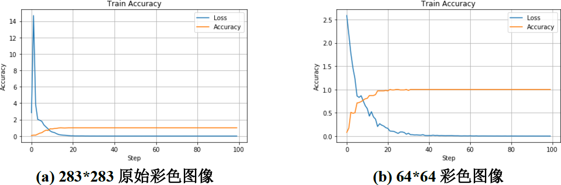 ▲ 图2.3.2 图像压缩和灰度变换的训练过程