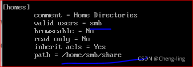 Linux SMB服务器配置_linux smb配置-CSDN博客