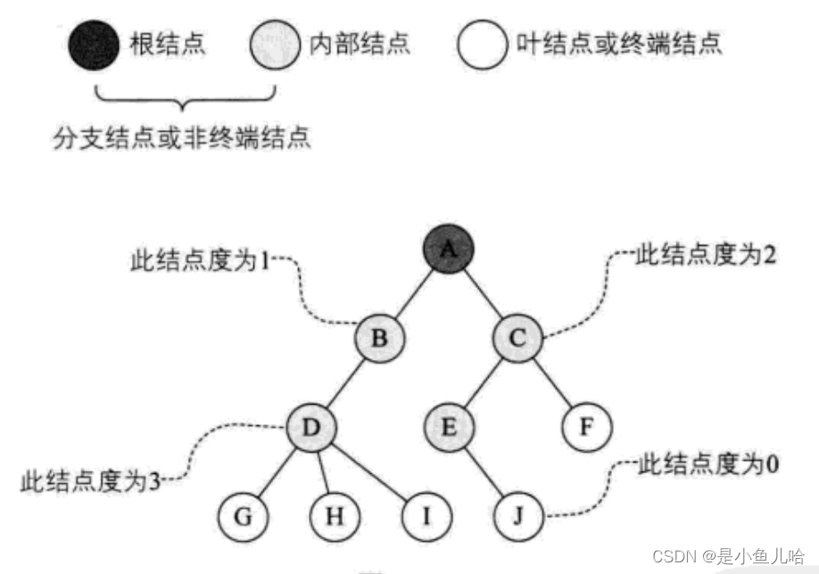 《Java数据结构》这些树和二叉树的性质你还记得吗？