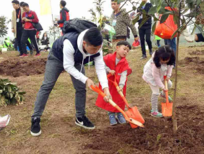 在面试官面前优雅地种下红黑树