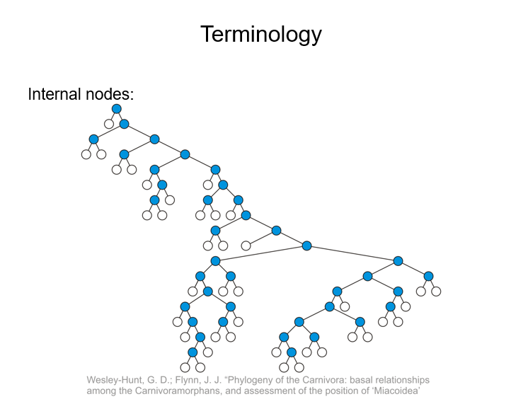 【精选】lecture 10_leaf nodes-csdn博客