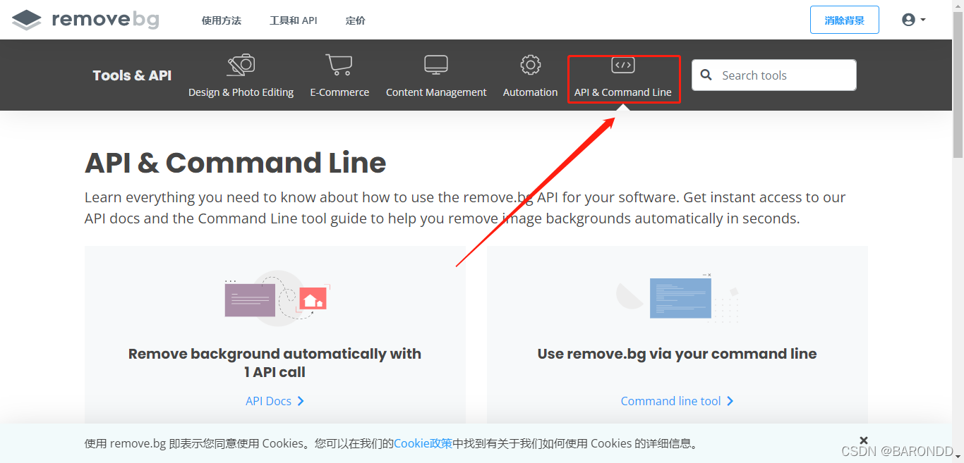 Remove Bg Set Api Key 关于removebg官网与API-CSDN博客