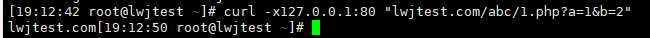 Nginx 全局变量