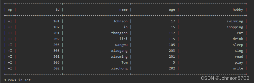 Flink DataStream读写Hudi