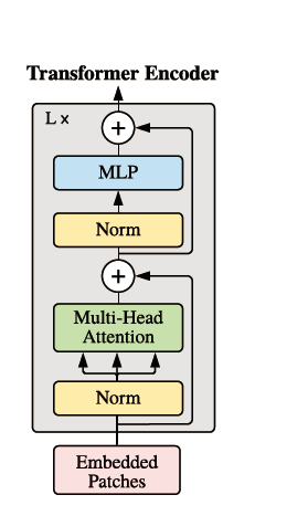 transformer encoder