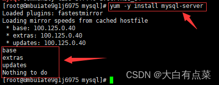 最后使用 yum 安装 MySQL Server