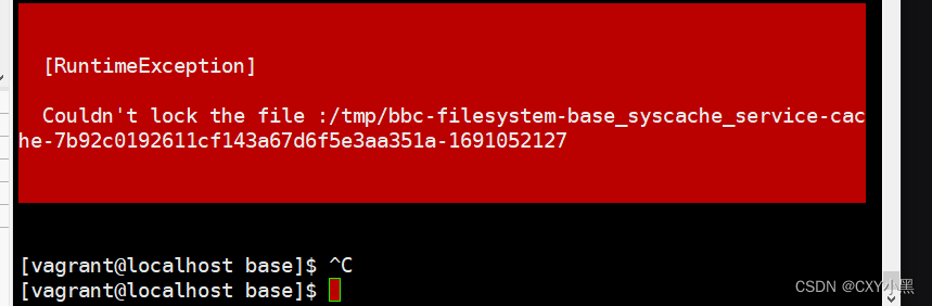 Couldn‘t lock the file :/tmp/bbc-filesystem-base_syscache_service