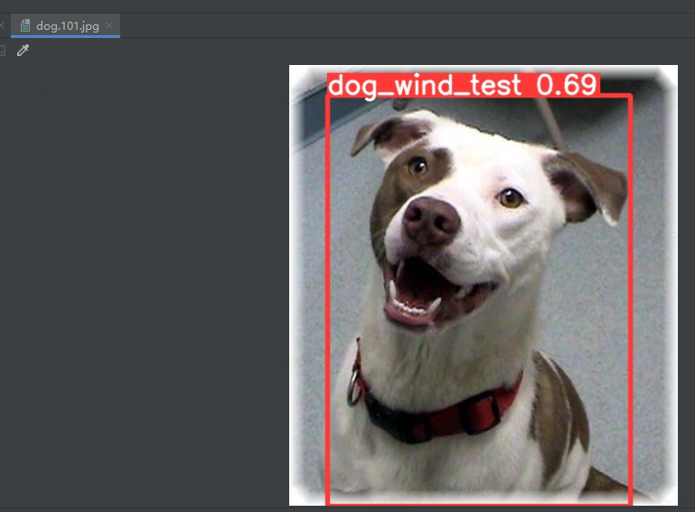 Windows 10安装YOLOv5训练及验证狗狗照片_人和狗图片集用作yolo训练CSDN博客