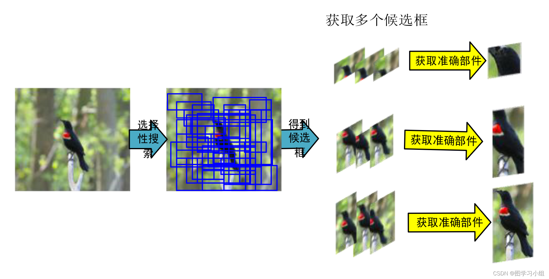 选择性搜索