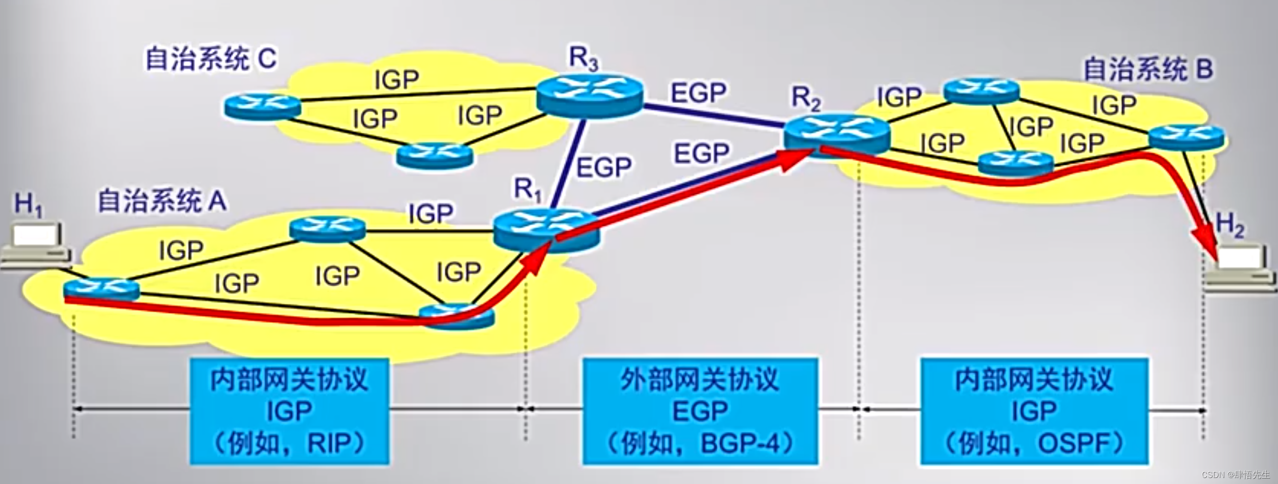 路由协议