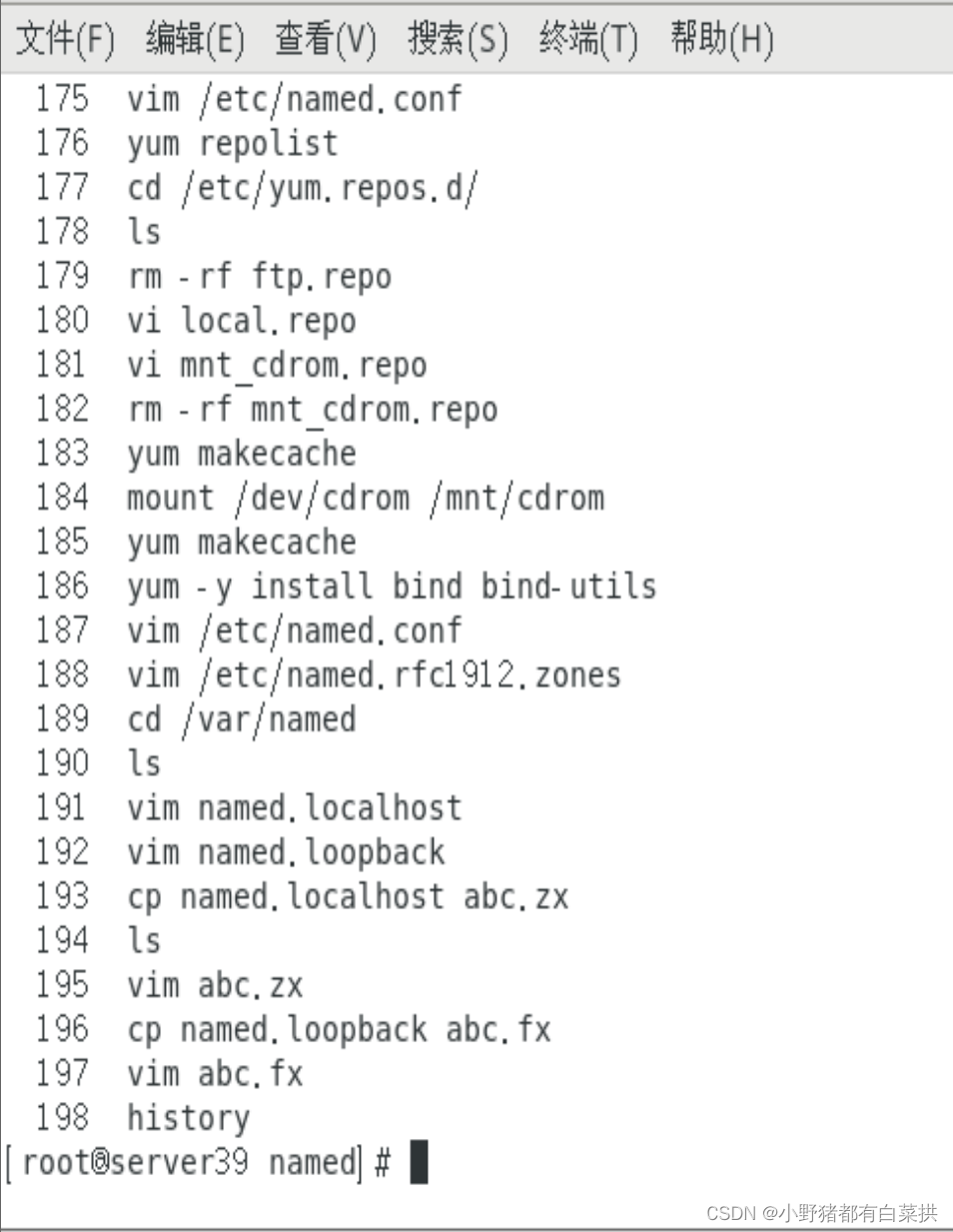 Dns 