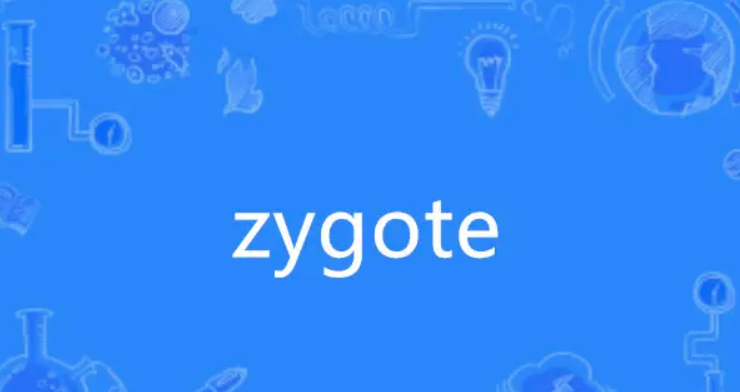 Zygote Secondary：加速应用启动的未来之路