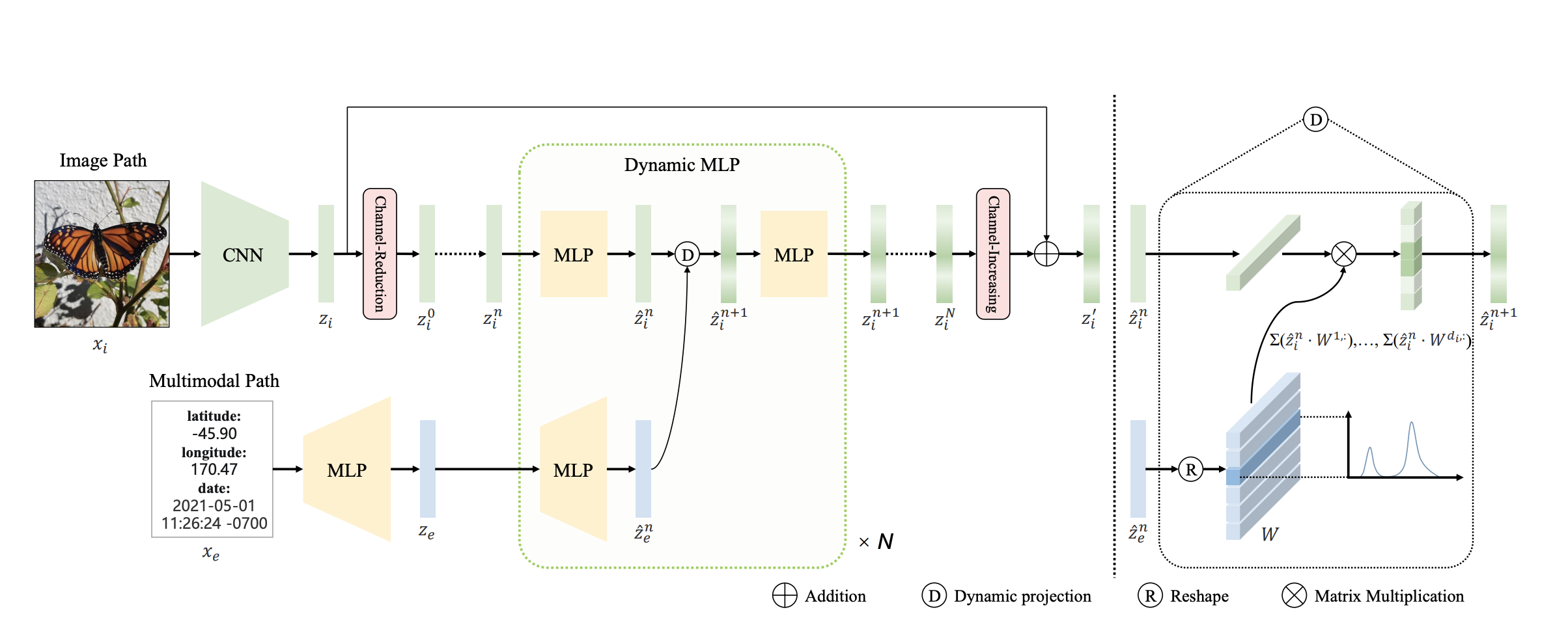 加入动态MLP，并且结合了时空信息的多模态细粒度分类_dynamic mlp for fine-grained image ...