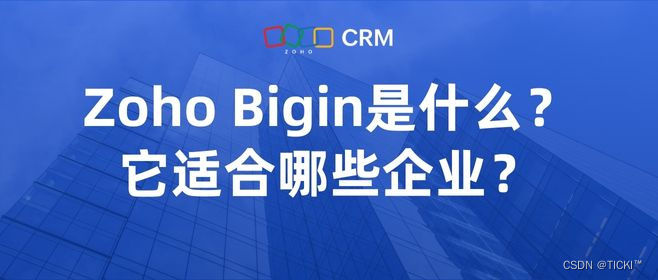 Zoho Bigin和标准版CRM有什么区别？