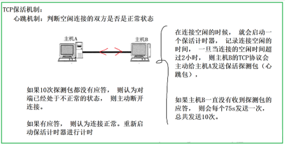 Linux网络协议之TCP协议(传输层)