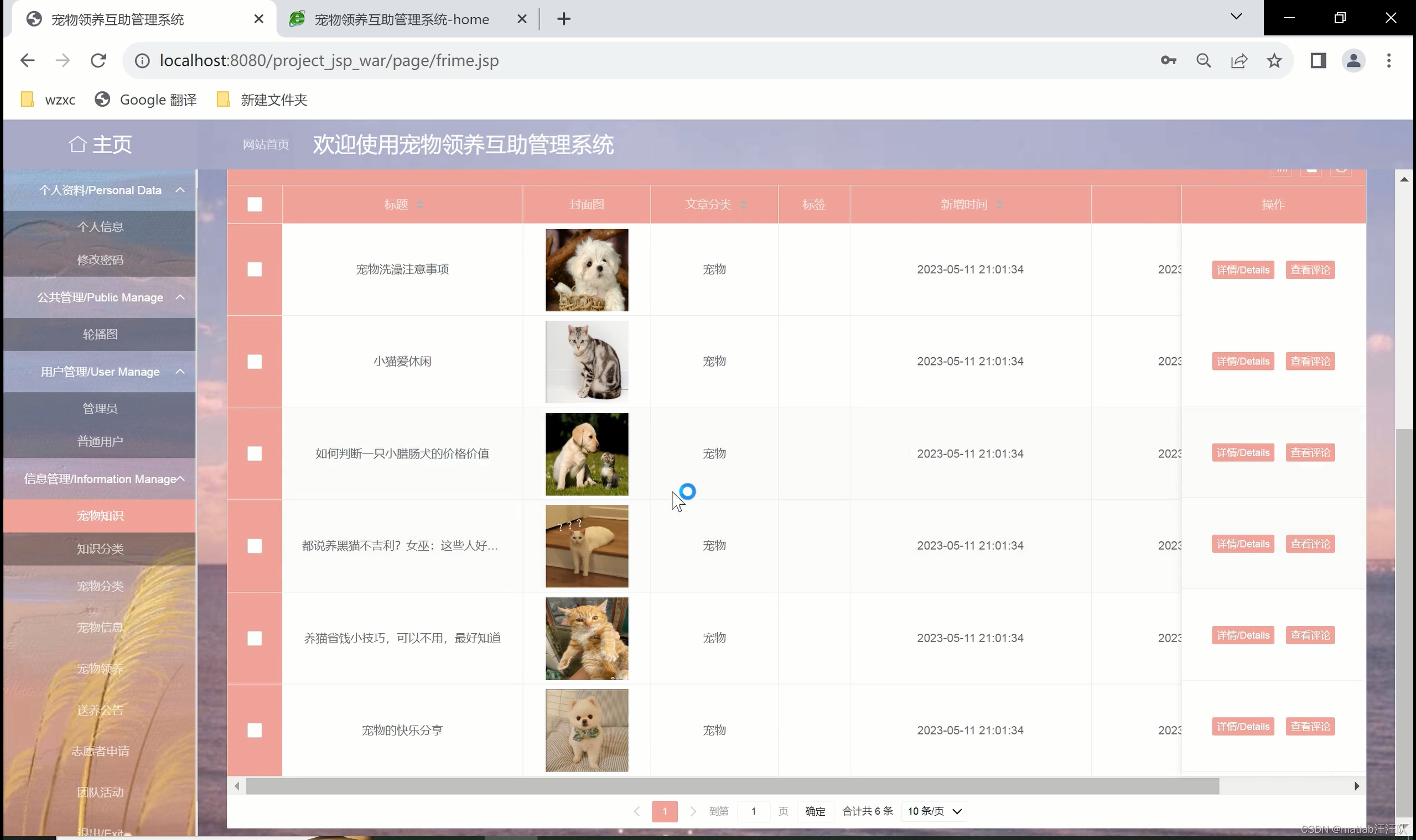 基于javaweb宠物领养互助管理系统-CSDN博客