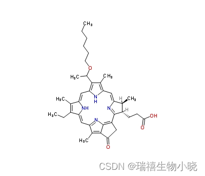 HPPH-SiO2 NPs/PEG/DSPE光克洛修饰介孔二氧化硅纳米粒子/聚乙二醇/磷脂的研究