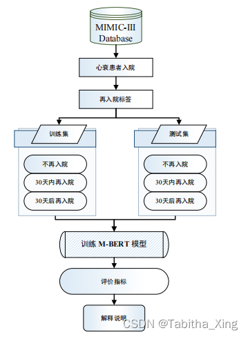 总体框架图