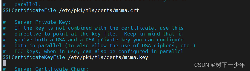 Linux搭建web网站服务练习，基于IP/端口/域名访问网站，搭建虚拟用户控制的网站，配置https加密访问