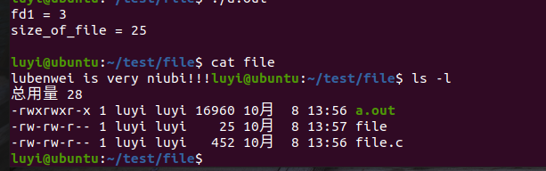 Linux 文件编程 read函数