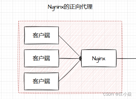 Nginx——Nginx的基础原理_nginx的原理-CSDN博客