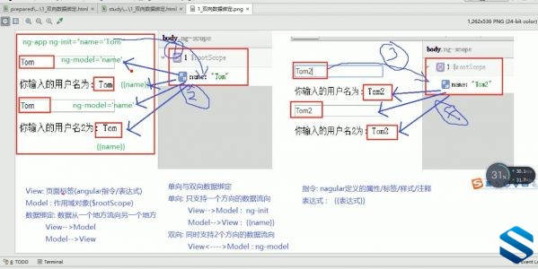 强力打造Web前端核心开发工程师 尚硅谷Web前端零基础搭配架构师课程 800+集课程