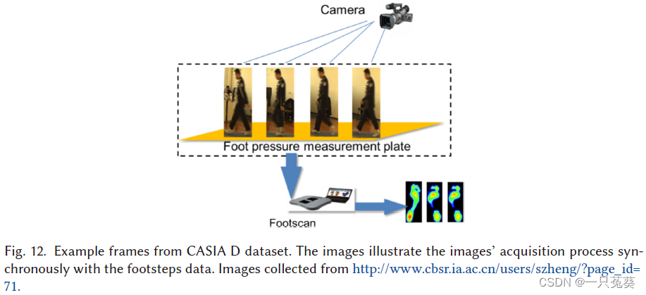 CASSIA-D