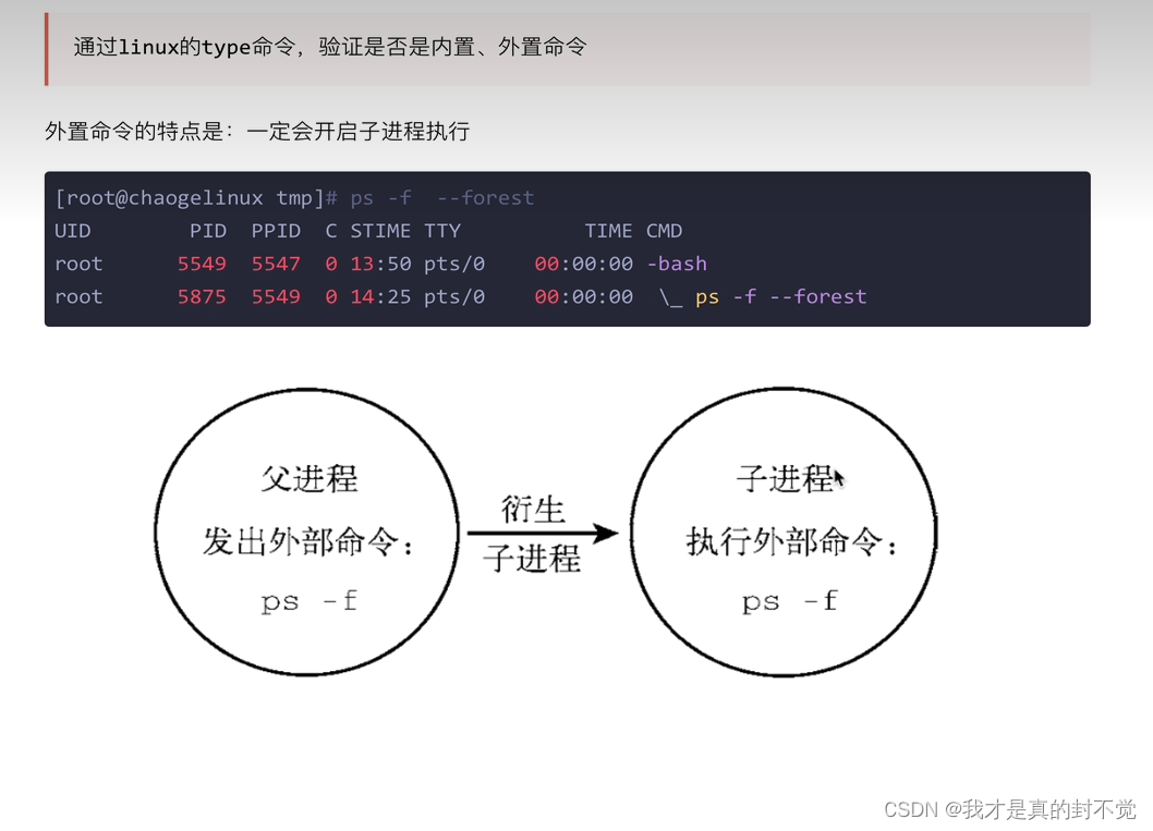 Shell最全笔记 就决定用你了