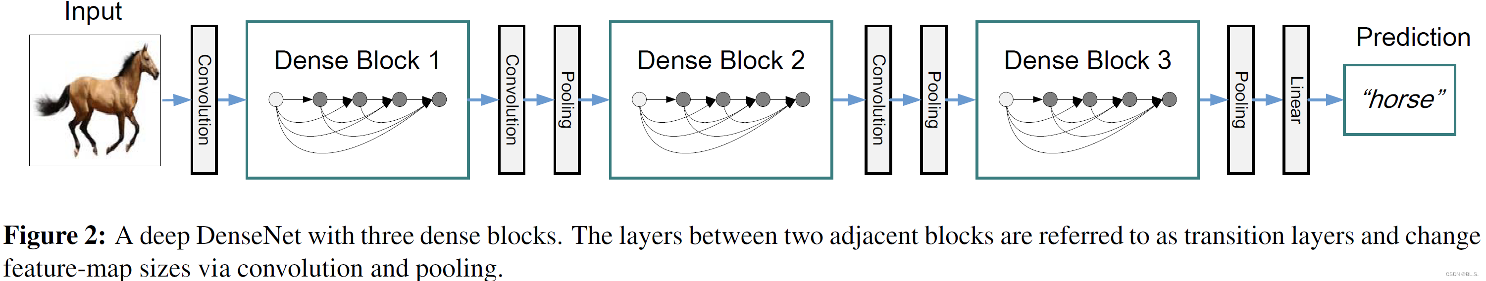 DenseNet: Densely Connected Convolutional Networks_densenet中的密集连接的英文-CSDN博客