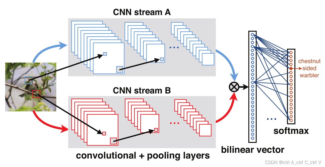 Bilinear CNN：细粒度图像分类网络，对Bilinear CNN中矩阵外积的解释。