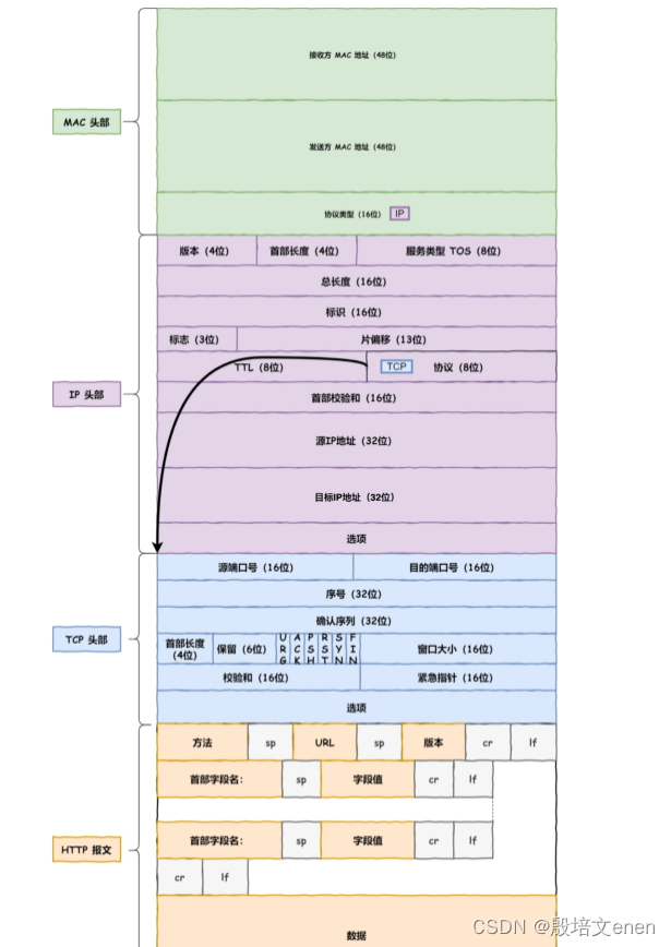 计算机网络基础 各个分层功能，当键入网址后，到网页显示，其间发生了什么,Linux 系统是如何收发网络包的？