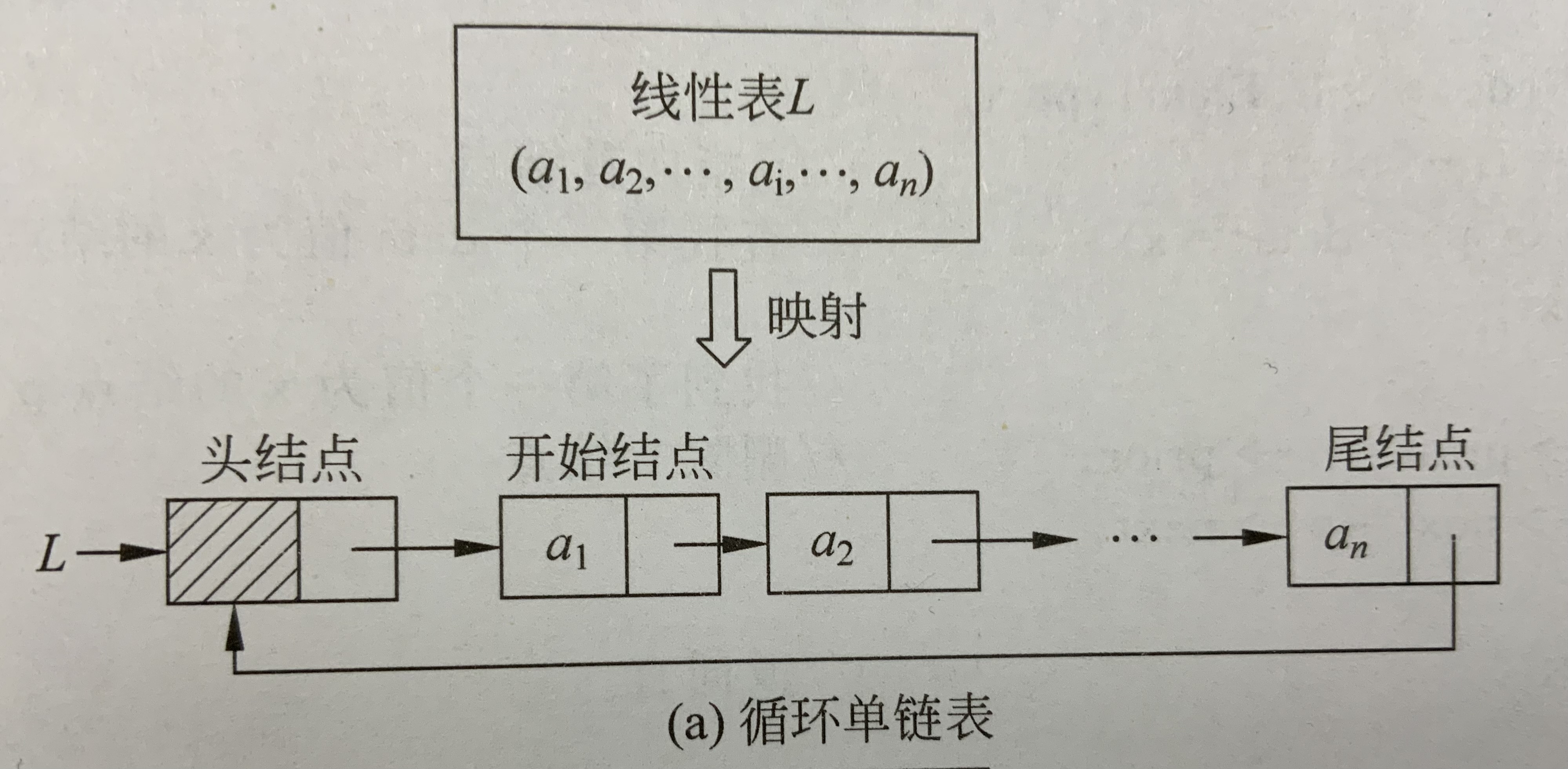 数据结构—循环单链表【c语言版】