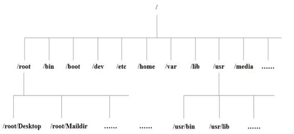 The meaning of the Linux directory structure - Programmer Sought