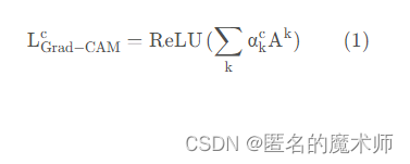 yolov5 Grad-CAM可视化，以及对可视化过程的分析