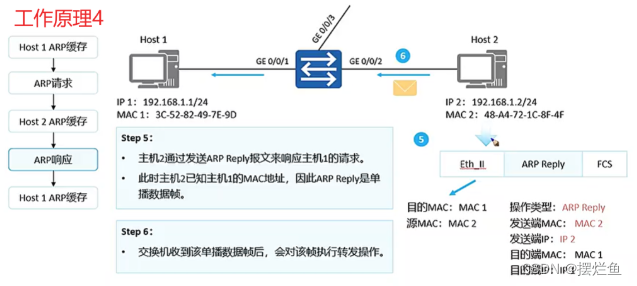 网络技术五：IP基本原理