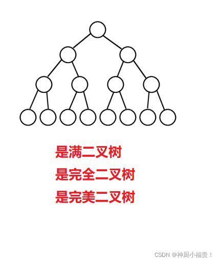 【C++】满二叉树、完全二叉树等概念解释