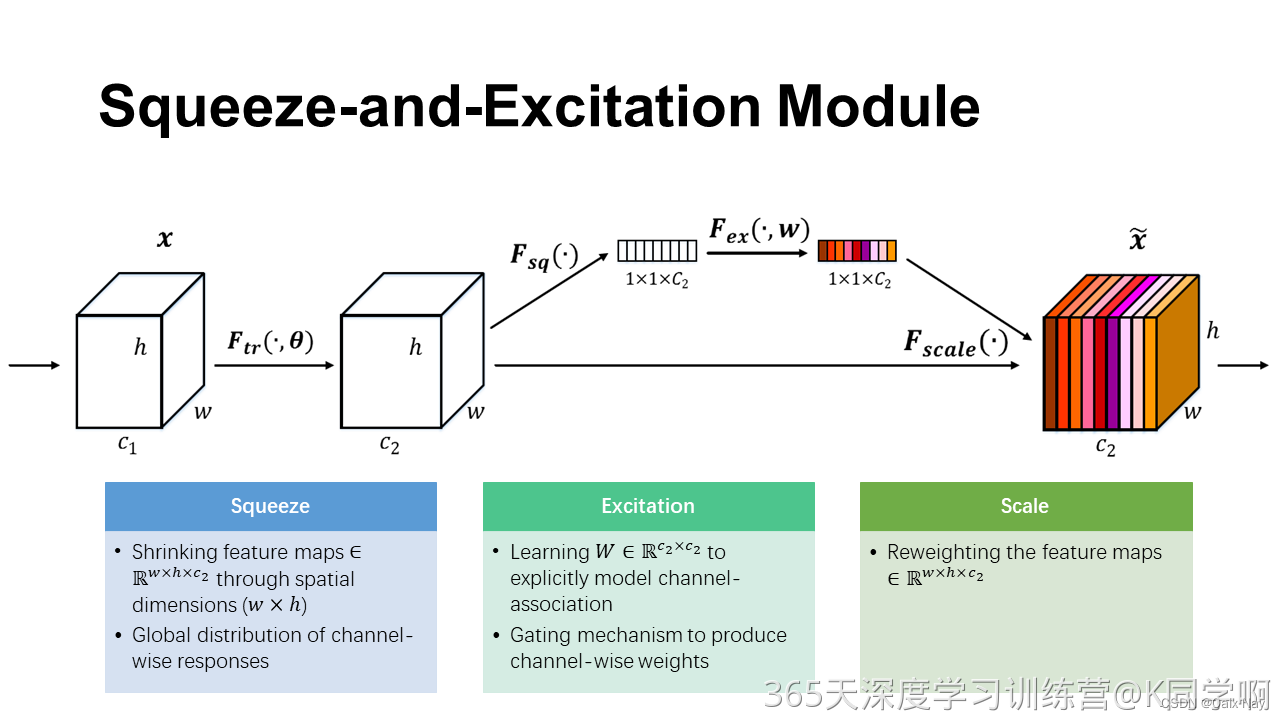 Squeeze-and-Excitation Module