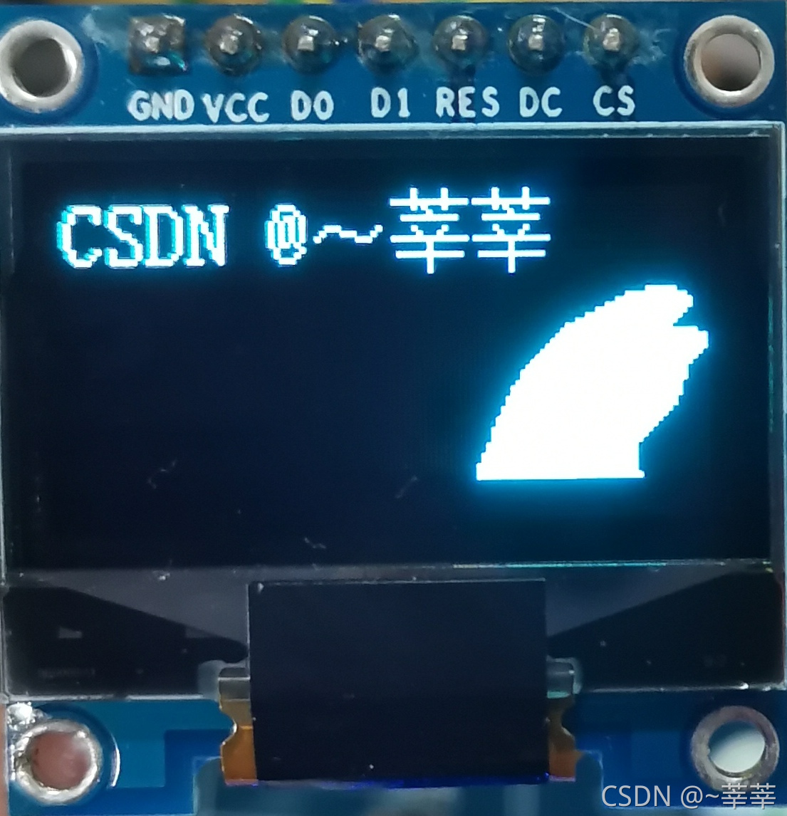 STM32CubeMX——OLED开发基础（HAL 库）