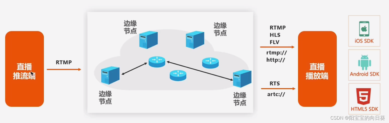 ここに画像の説明を挿入