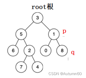 [日常一练]二叉树的最近公共祖先(java)_二叉树最近公共祖先 返回int-CSDN博客
